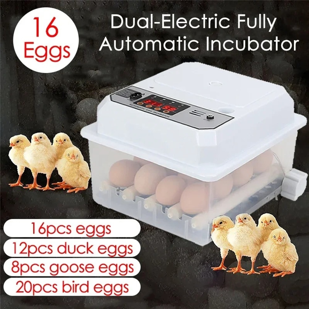 Egg Automatic Mini Incubator With Dual Power AutoTurning For Poultry Ducks Geese Birds Home Use 1