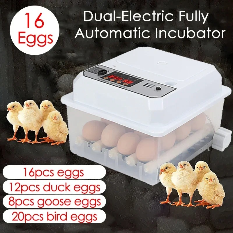 Egg Automatic Mini Incubator With Dual Power AutoTurning For Poultry Ducks Geese Birds Home Use 1