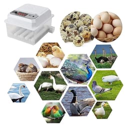 egg automatic mini incubator with dual power & auto-turning for poultry, ducks, geese & birds – home use