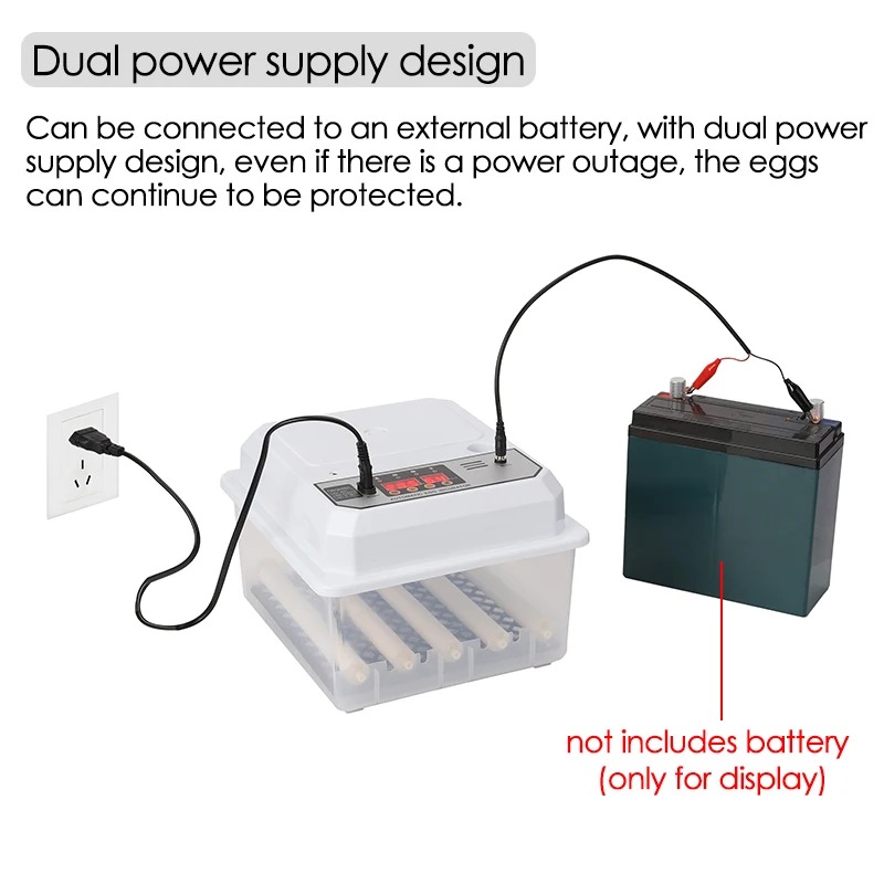 Egg Automatic Mini Incubator With Dual Power AutoTurning For Poultry Ducks Geese Birds Home Use 3