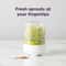Reusable Countertop Bean Sprouter Kit – Seed Sprouting System for Household Kitchen