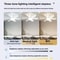 LED Ceiling Fan With Light RemoteControlled Screw Ceiling Fan For Bedroom Garage And Kitchen 3
