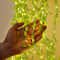Willow Curtain Lamp With Lights BatteryOperated Imitation Leaf String Light For Home Decor 1