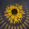 Solar Mandala Sunflower Wall Light With LED Bulbs Waterproof Outdoor Pendant For Garden Courtyard 4