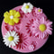 Flower Silicone Molds for Fondant, Cake, Candy, Chocolate & Sugarcraft – Premium Baking Tool