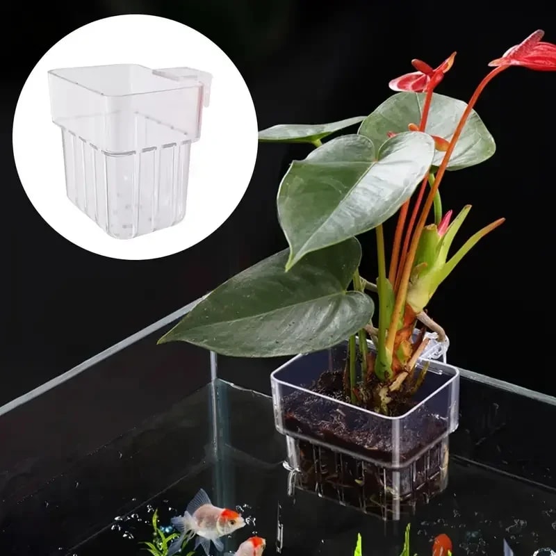 Hydroponic Planting Cup Wall Mounted Transparent Fish Tank Decoration
