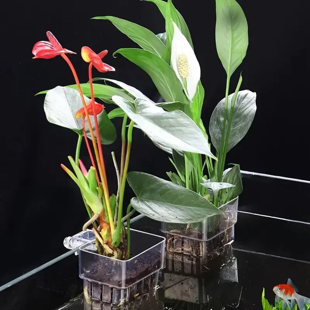 Hydroponic Planting Cup Wall Mounted Transparent Fish Tank Decoration