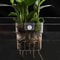 Hydroponic Planting Cup Wall Mounted Transparent Fish Tank Decoration