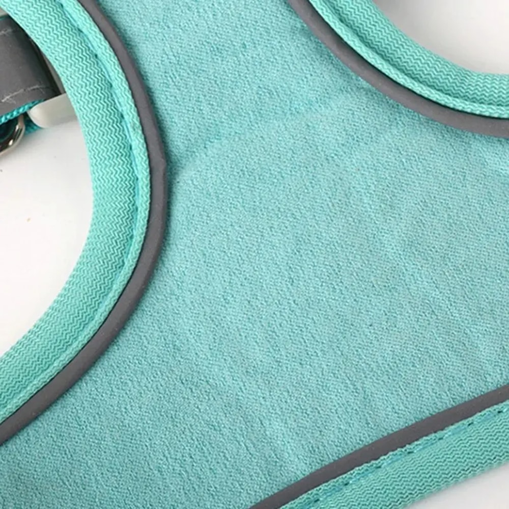 Booteely Reflective Pet Harness Vest with Leash for Small Dogs and Cats – Suede, Lightweight, and Convenient