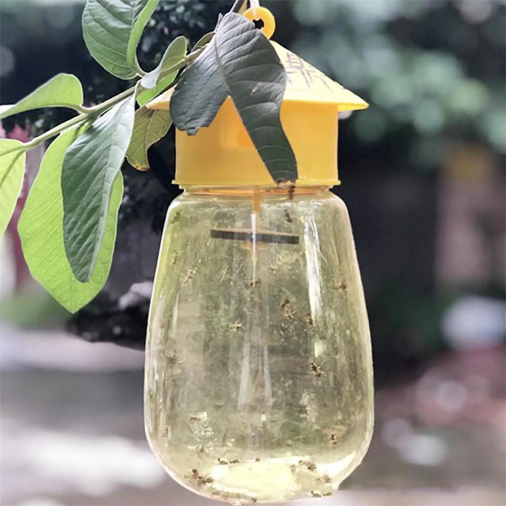 Plastic Fruit Fly Trap Killer – Drosophila Catcher for Insects, Bee, and Pest Control