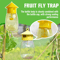 Plastic Fruit Fly Trap Killer – Drosophila Catcher for Insects, Bee, and Pest Control