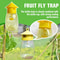 Plastic Fruit Fly Trap Killer – Drosophila Catcher for Insects, Bee, and Pest Control