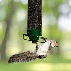 wrought iron hanging hummingbird feeder, squirrel-proof bird feeder for outdoor garden