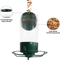 Wrought Iron Hanging Hummingbird Feeder SquirrelProof Bird Feeder For Outdoor Garden 9
