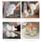 Cute Onigiri Molds - Cat Animal Shape Sushi Rice & Mashed Potato Molds for Kids, Pumpkin Mash Baking Gadgets