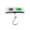 Portable Digital Luggage Scale Travel Baggage Weight Scale With LCD Display 7