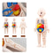 Montessori Human Body Anatomy Model DIY Educational Toy for Kids Science Learning