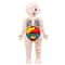 Montessori Human Body Anatomy Model DIY Educational Toy for Kids Science Learning