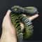 Realistic Snake Movable Fidget Toy Stress Relief & Desk Ornament