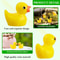 Mini Resin Ducks Set Tiny Duck Miniature Figures for DIY Micro Landscape, Party Decorations & Crafts