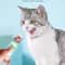 Cat Squeeze Feeder Spoon For Lickable Wet Cat Treats Liquid Snack Cat Feeder Tool 5