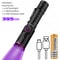 Zoom UV LED Flashlight Type C Rechargeable Invisible Ink Marker for Pet Urine, Tinea, Money, and Scorpions