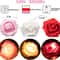 Romantic Rose Flower String Lights Battery Operated LED Lamp for Weddings & Home Decor