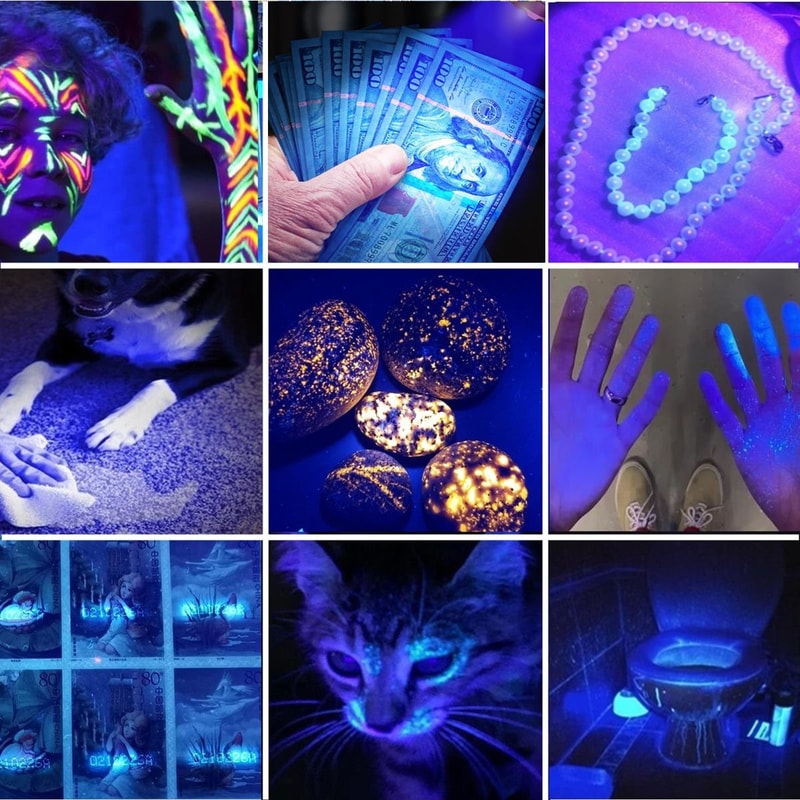 High Power UV Flashlight Powerful Rechargeable Blacklight for Urine Stains, Tinea, Scorpions & More