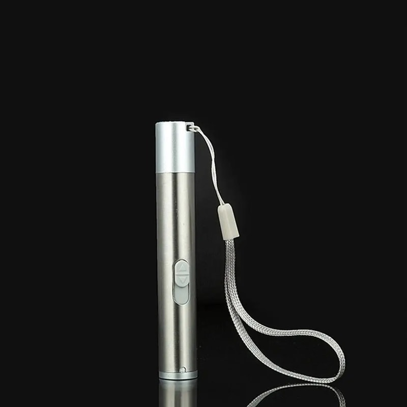 USB Rechargeable Flashlight & UV Pointer for Teaching, Pet Training, and Gifts