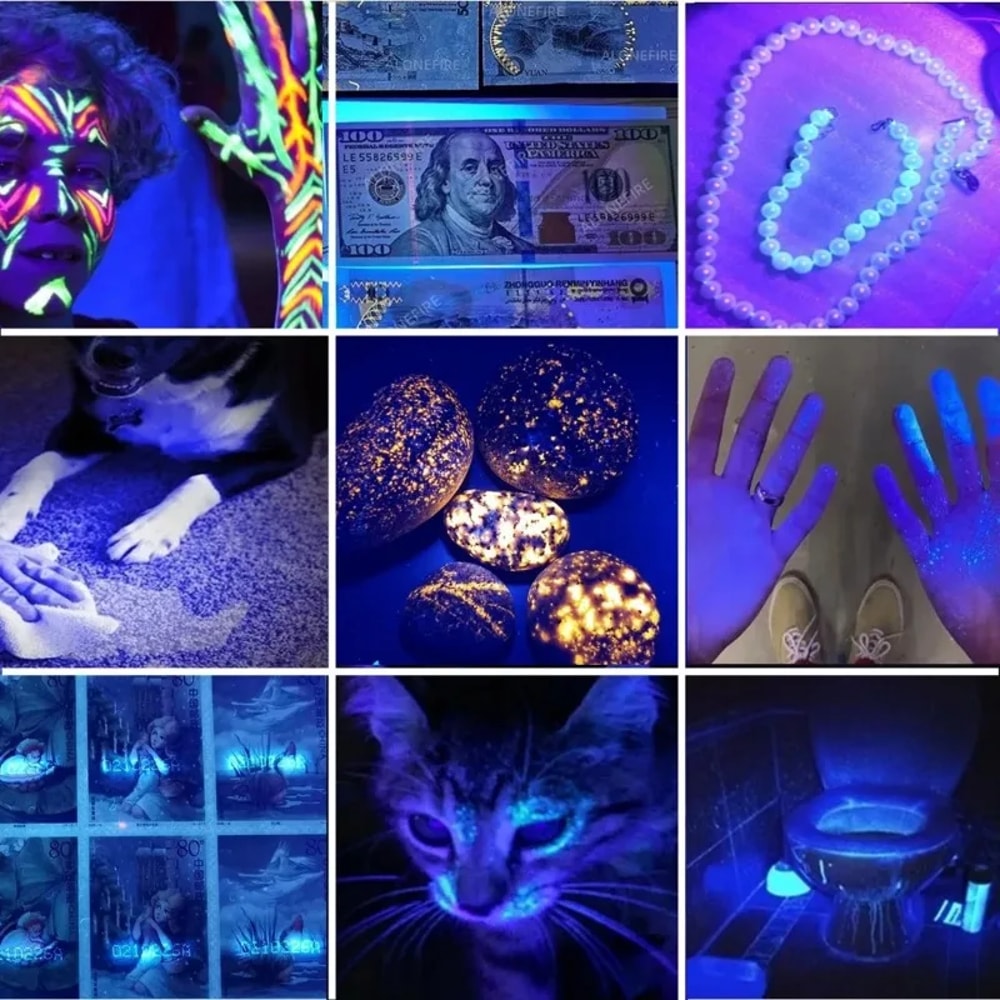 UV Flashlight USB Rechargeable Ultraviolet Torch for Pet Urine Detection, Scorpion Hunting, and More