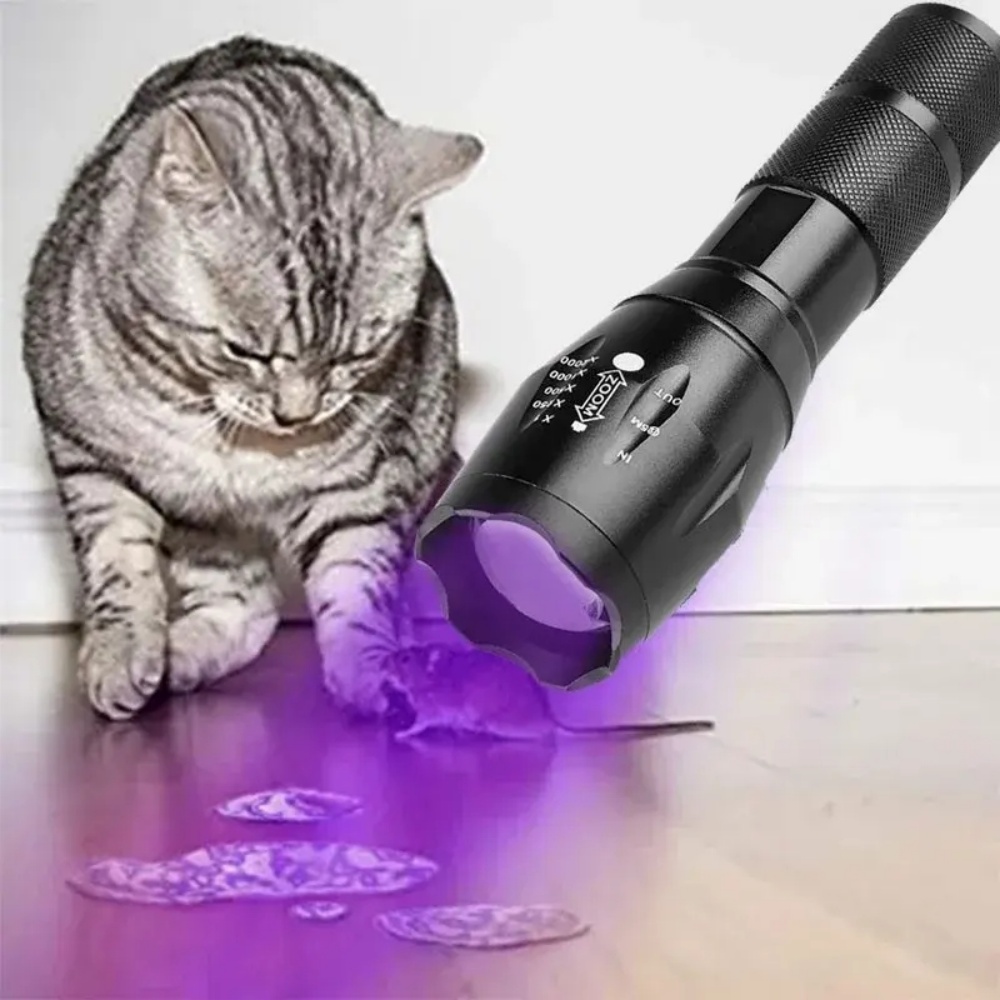 Rechargeable UV Flashlight Torch Portable Black Light for Pets & Home Use