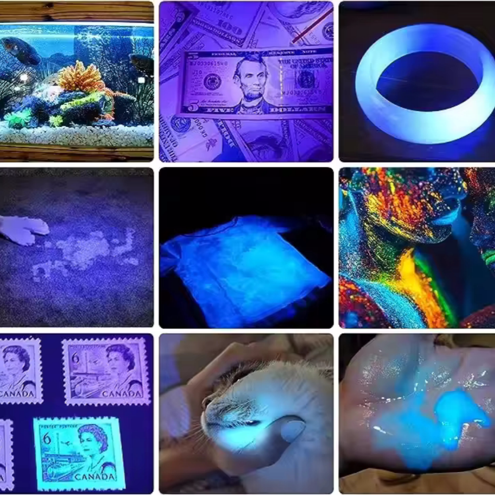 Rechargeable UV Flashlight Torch Portable Black Light for Pets & Home Use