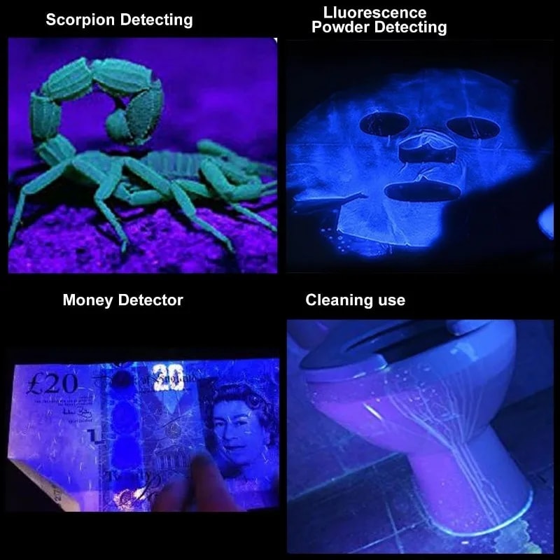 Mini UV Flashlight LED Ultraviolet Torch Pet Urine Stain Detector Inspection Lamp 4