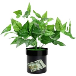 secret plant stash hidden safe flower pot organizer for valuables