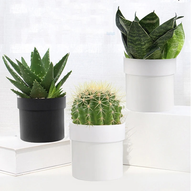 Secret Plant Stash Hidden Safe Flower Pot Organizer For Valuables 1