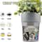 Flower Pot Safe Storage Box with Lock Mini Organizer for Keys, Money, and Valuables
