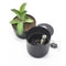 Creative Flowerpot Shaped Iron Money Safe With Password Lock Hidden Storage Box For Anti Theft Cash 0