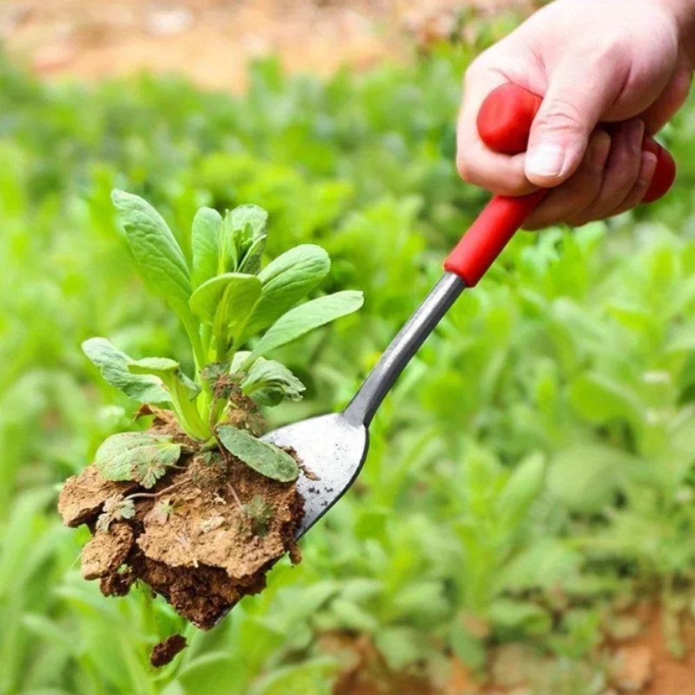 Premium Garden Trowel & Weeding Hand Tool for Transplanting and Soil Digging