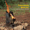 Portable Camping Stove Stainless Steel Rocket Wood Burner for Outdoor BBQ