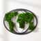 Moss World Map Metal Wall Art Eco Friendly Modern World Map Decor for Home & Office