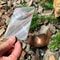 Pocket Solar Fire Starter Card Outdoor Survival Tool & Camping Lighter