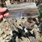Pocket Solar Fire Starter Card Outdoor Survival Tool & Camping Lighter