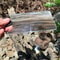 Pocket Solar Fire Starter Card Outdoor Survival Tool & Camping Lighter