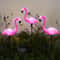 Solar Flamingo Garden Lights Waterproof Outdoor Decorative Yard Lights Set 1