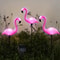 Solar Flamingo Garden Lights Waterproof Outdoor Decorative Yard Lights Set 1