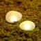 Solar Pebble Garden Lights for Outdoor Pathway Lighting Warm White Solar Landscape Lights