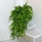 Artificial Hanging Fern Vines for Indoor Greenery Decor & Balcony Wall Styling