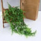 Artificial Hanging Fern Vines for Indoor Greenery Decor & Balcony Wall Styling