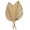 Boho Dried Palm Leaves Decor Set Mini Pampas Wedding Decor for Elegant Home Styling