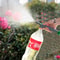 High Pressure Plant Spray Bottle with Adjustable Nozzle Garden Mist Sprayer